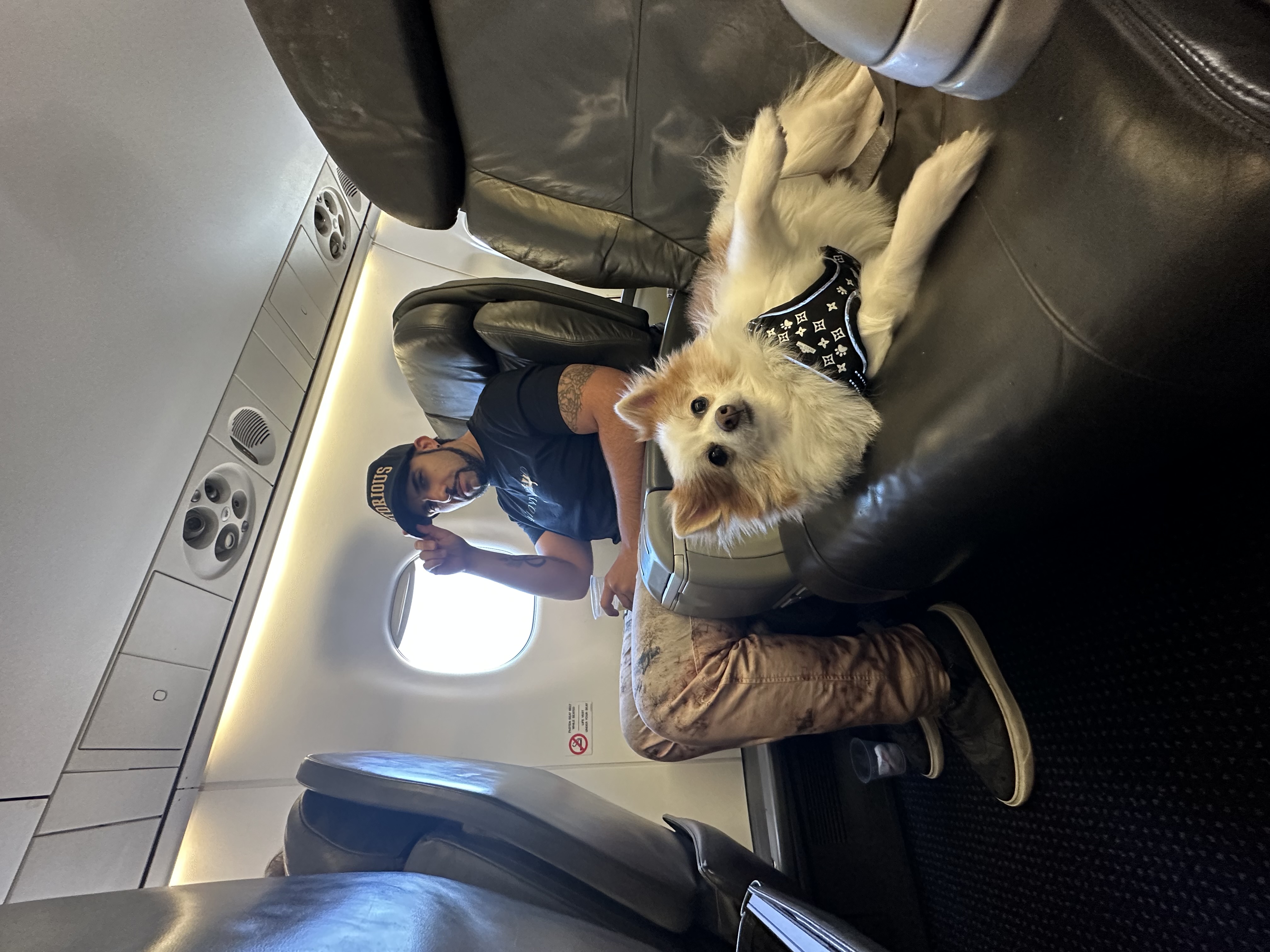 Marc flying back from Europe with Munchkin